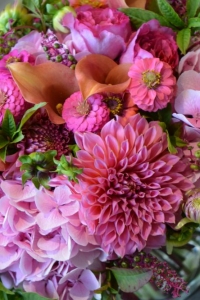 Bouquet d’hortensias, dahlias, zinnias, phytolacas et callas