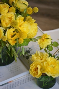 Bouquet de roses de jardin, craspedias et chasmanthiums