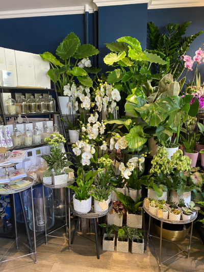 Fleuriste Clamart Mairie